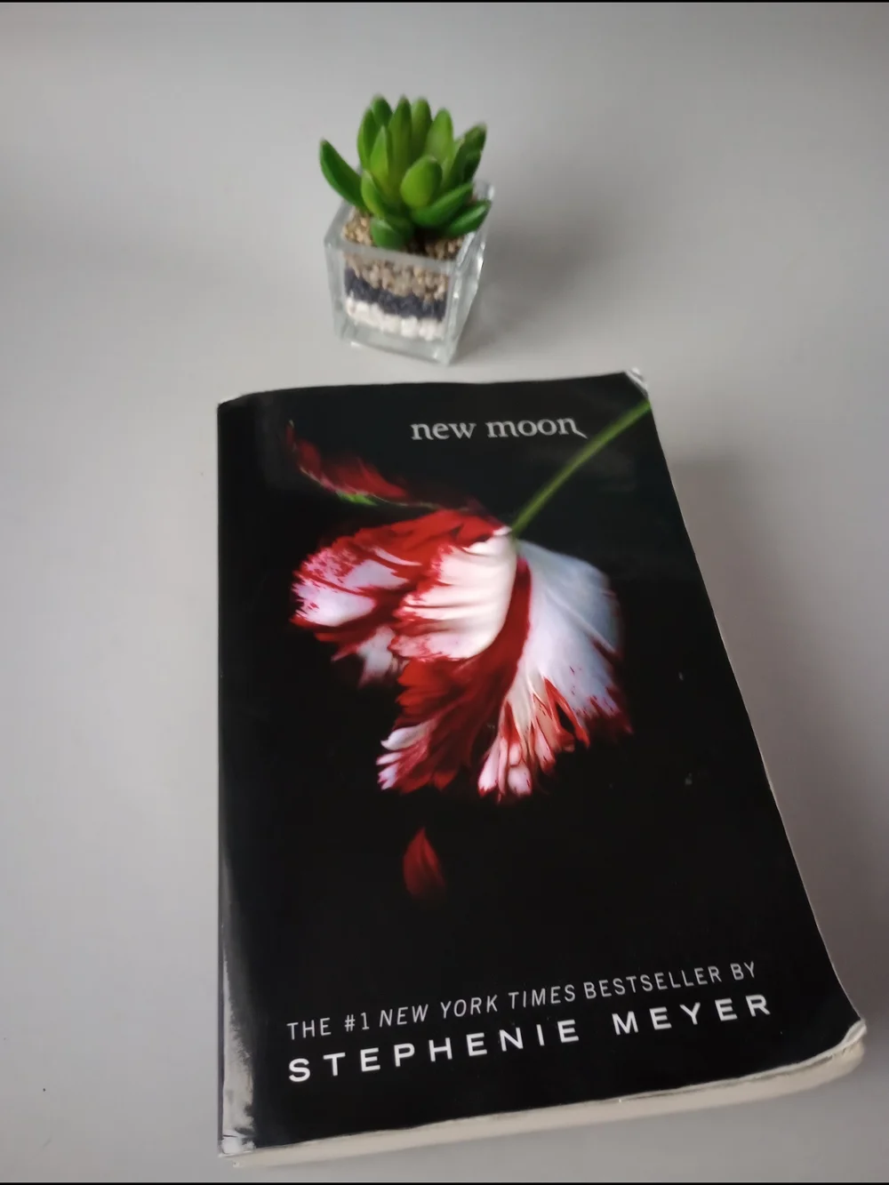 The Twilight Saga New Moon by Stephenie Meyer 2008 Trade Paperback) Good Cond.